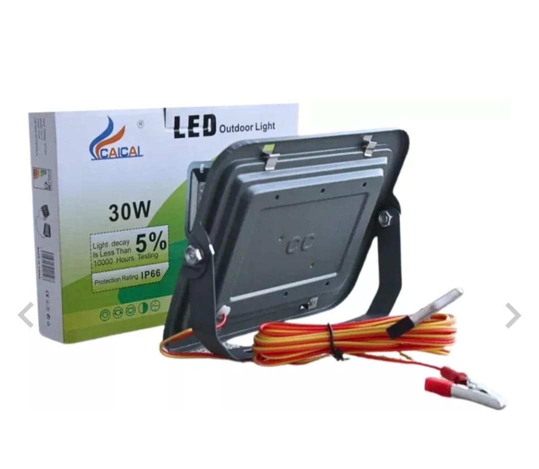 PROIECTOR 30W