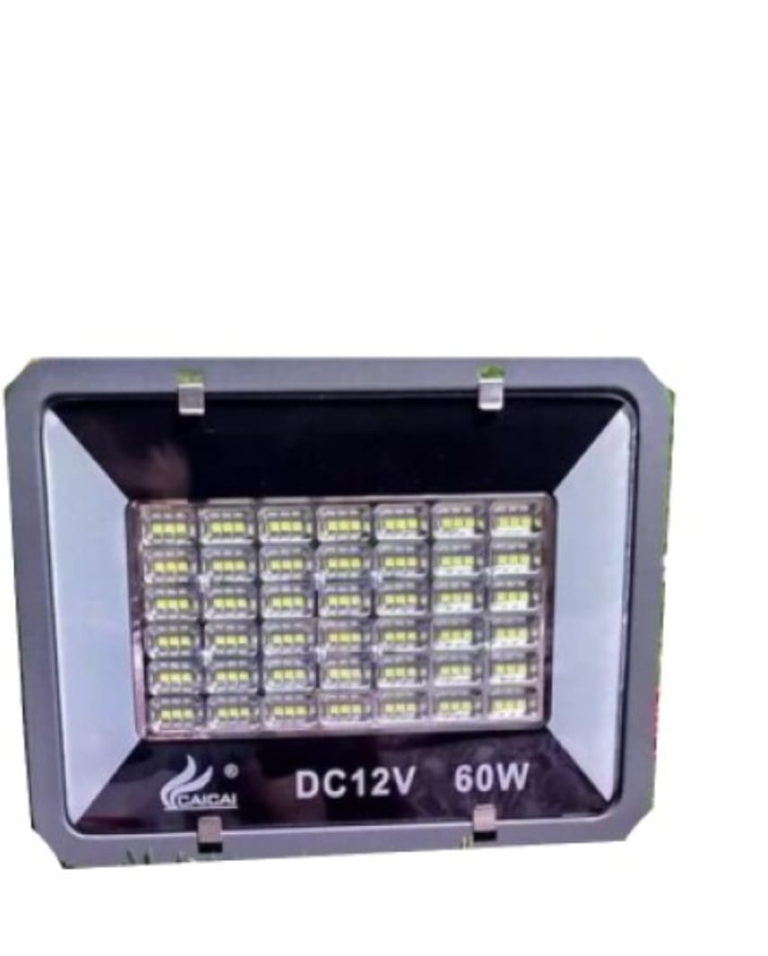 PROIECTOR 60W PE LED