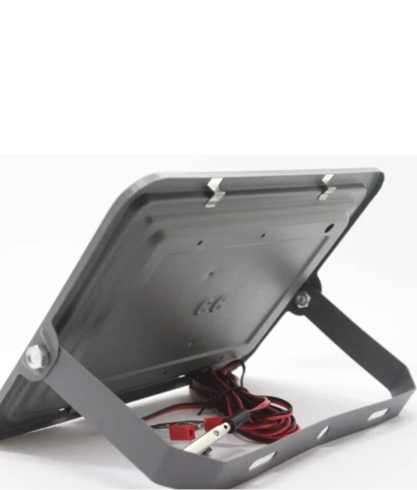PROIECTOR 60W PE LED